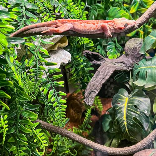 HERCOCCI Crested Gecko Tank Accessories, Reptile Hanging Plants Vines with Coconut Shell Ladder Hideout Hermit Crab Decor for Lizard, Chameleon Cage, Snakes, Hermit Crab, Leopard Gecko