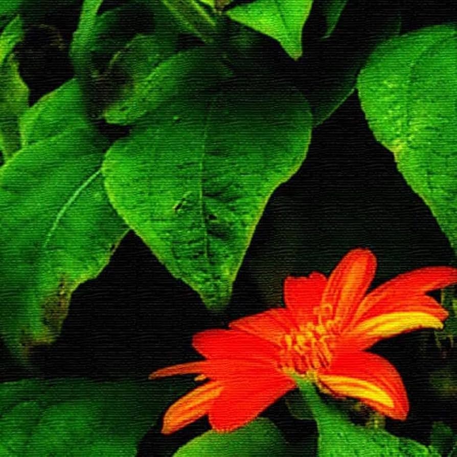 Amazon.co.jp: 花 植物 アートパネル 57cm × 57cm Lサイズ 日本製