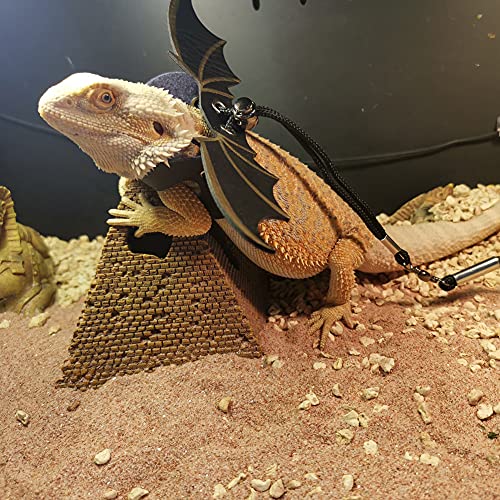 6 stuks hagedissenlijnen, tuigjes voor reptielen, verstelbare riem van leer, hagedis, met vleugels, hoed, strik, voor… - Image 8