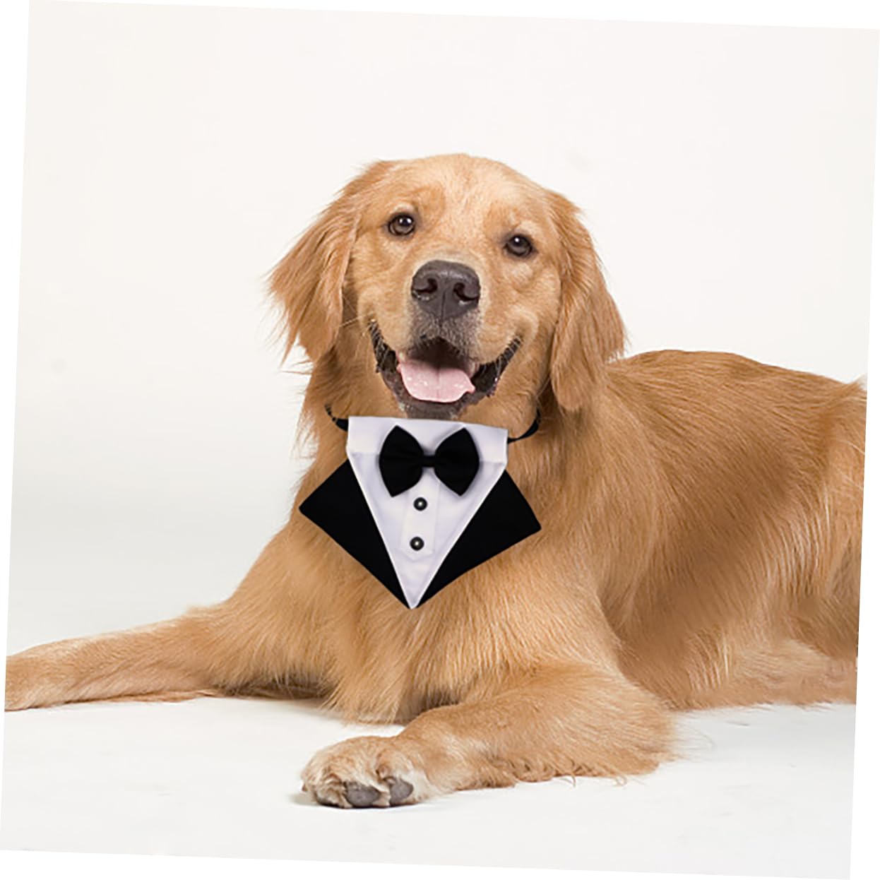 BESPORTBLE 3ensembles Bandana Triangulaire Adorable pour Chien Écharpe De Mode Accessoire Pratique pour Et Style Élégant avec Nœud