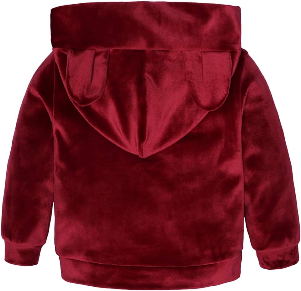 Boys Girls Velvet Hooded Tracksuit Sweatshirt Top + Sweatpants Hoodie Outfit Set - Image 2