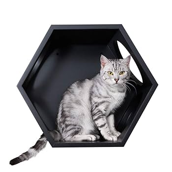 Amazon | MYZOO 六角ハウス【質感のある無垢材】猫ハウス