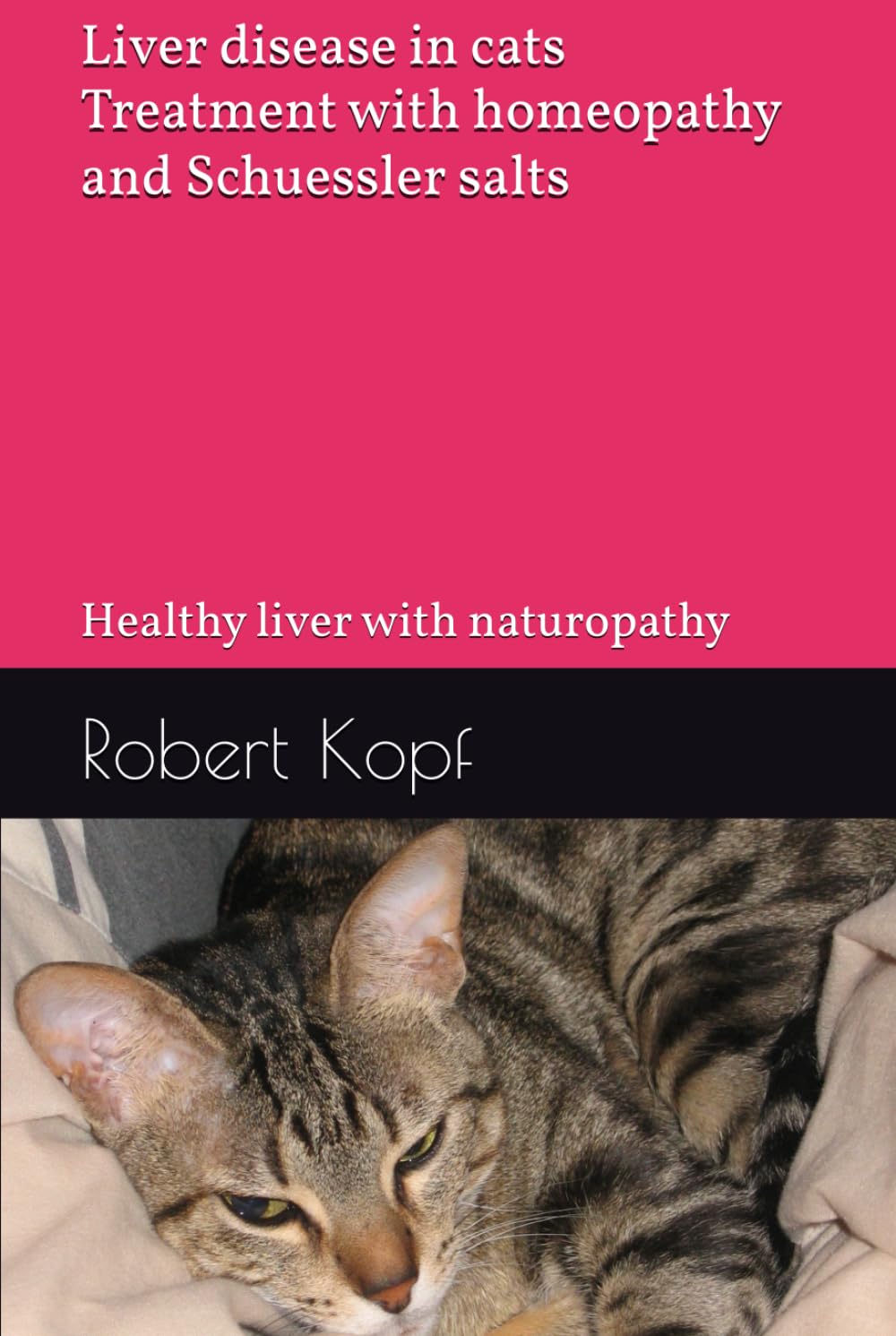 Liver disease in cats - Treatment with homeopathy and Schuessler salts: Healthy liver with naturopathy