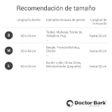 Ver la foto 8