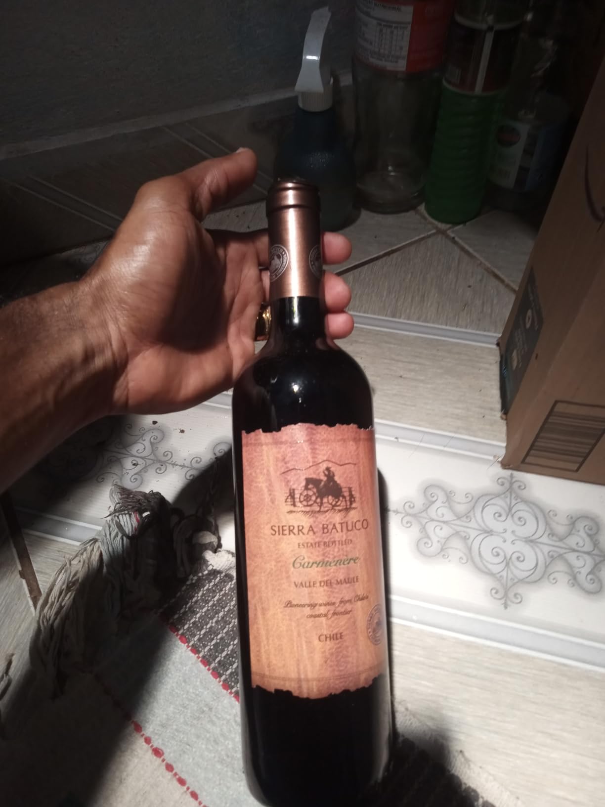 Mão segurando uma garrafa de vinho tinto Sierra Batuco Carmenere 750ml sobre um piso decorado.