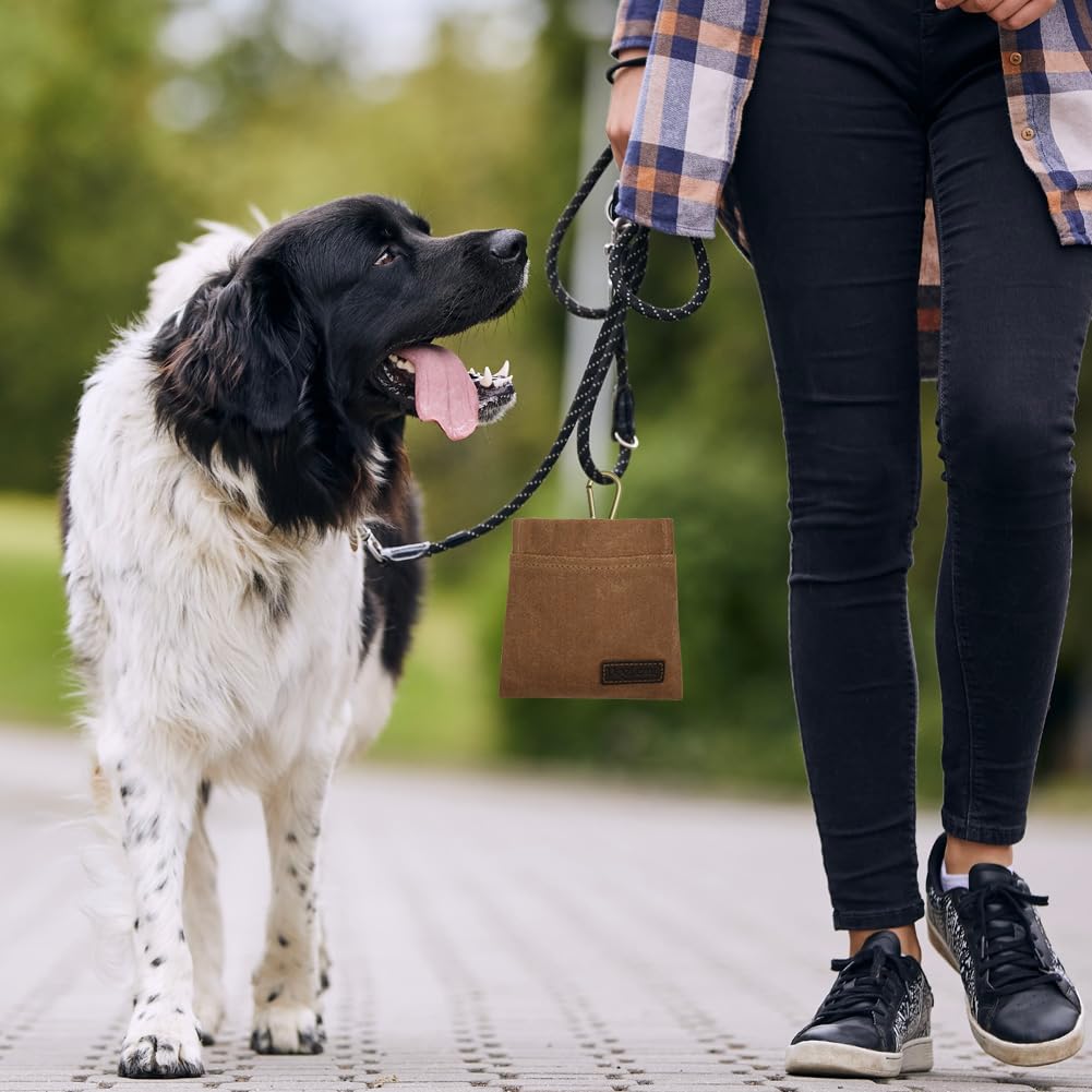 Borsa Addestramento Cane, Borsa Porta Snack per Animali Domestici, Porta Snack Cane, Sacchetto per Cani a Mani libere con moschettone, per addestramento di Cani (Marrone)