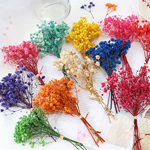 Mini ramo de flores secas Gypsophila 12cm natural miniatura 3