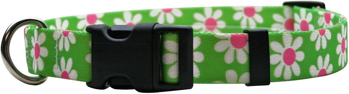 Green Daisy Dog Collar - Size Cat 8" to 12" Long