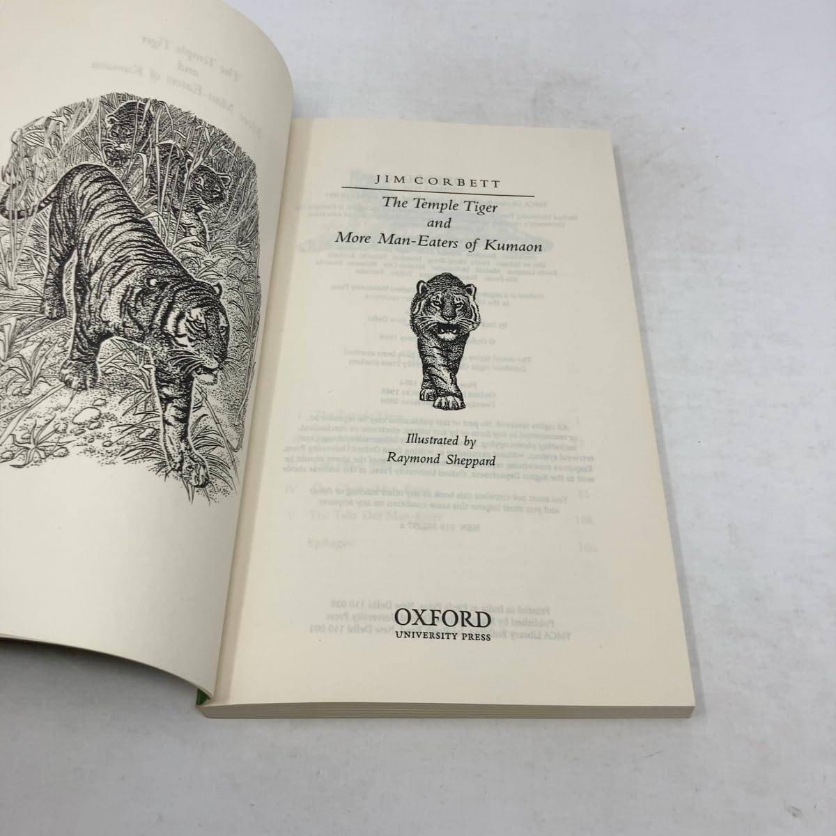 TEMPLE TIGER (OIP) 1