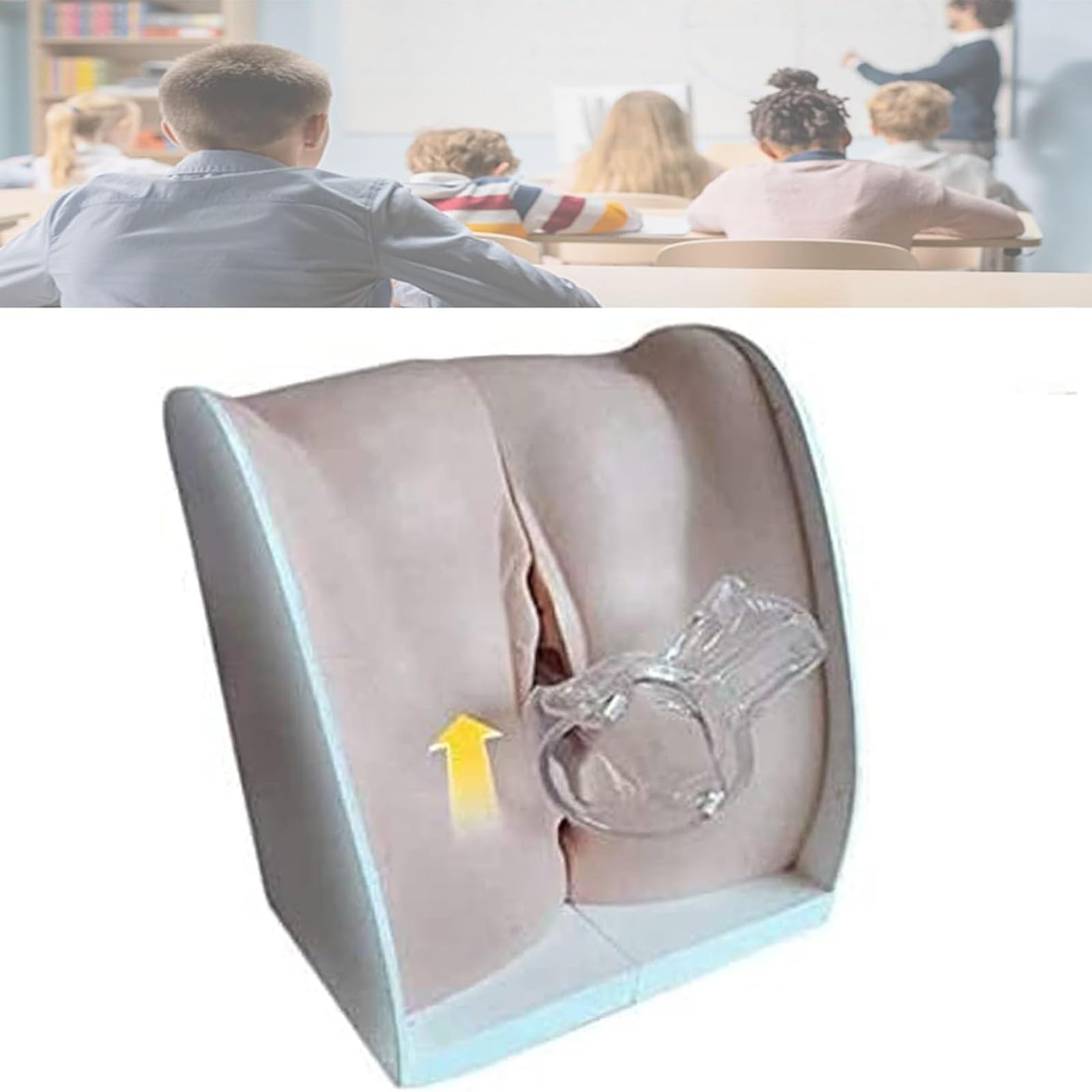 Modello Didattico di Contraccezione Femminile, Modello di Anatomia Genitale Ginecologica per la Guida alla Contraccezione e l'Educazione Medica