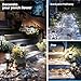 SOLPEX Solar Lights for Outside, Solar Outdoor Pathway Garden Lights Waterproof, Solar Powered Landscape Lighting for Yard, Garden, Pathway, Patio, Porch, Walkway, Driveway, 8 Pack(Cold White)