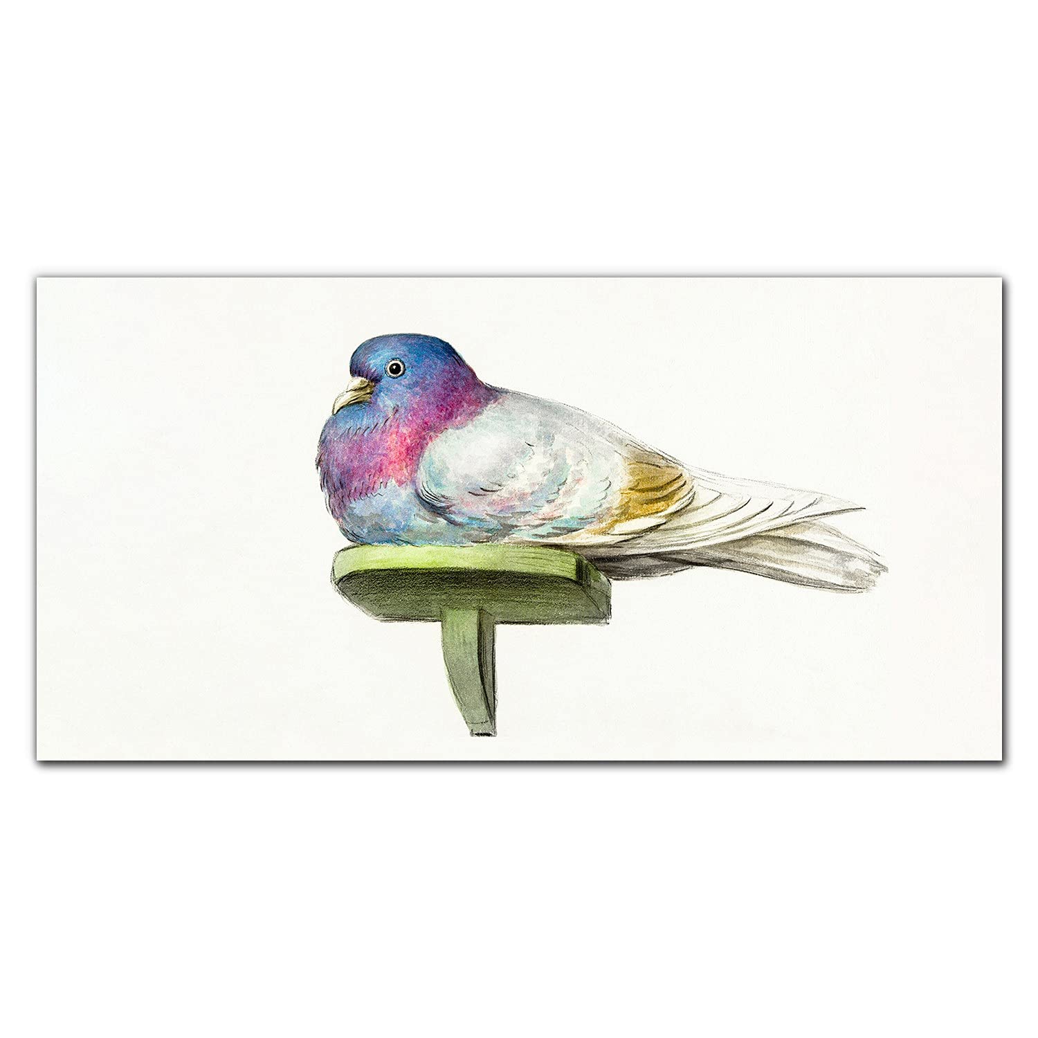 Crédence de cuisine adhésive 140x70cm en verre trempé avec motif pigeon