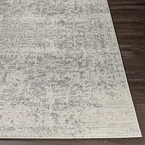 Hauteloom Rachel Living Room, Bedroom Area Rug - Updated Traditional - Gray, Beige - 3'11" X 5'7" #TOP4