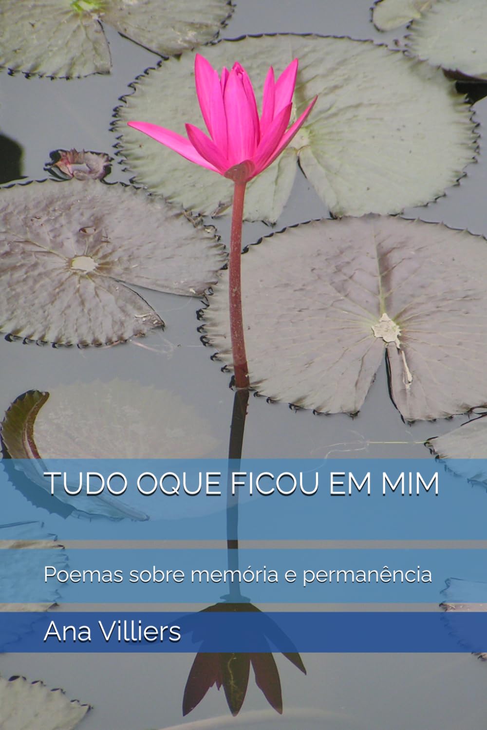 TUDO OQUE FICOU EM MIM: Poemas sobre memória e permanência