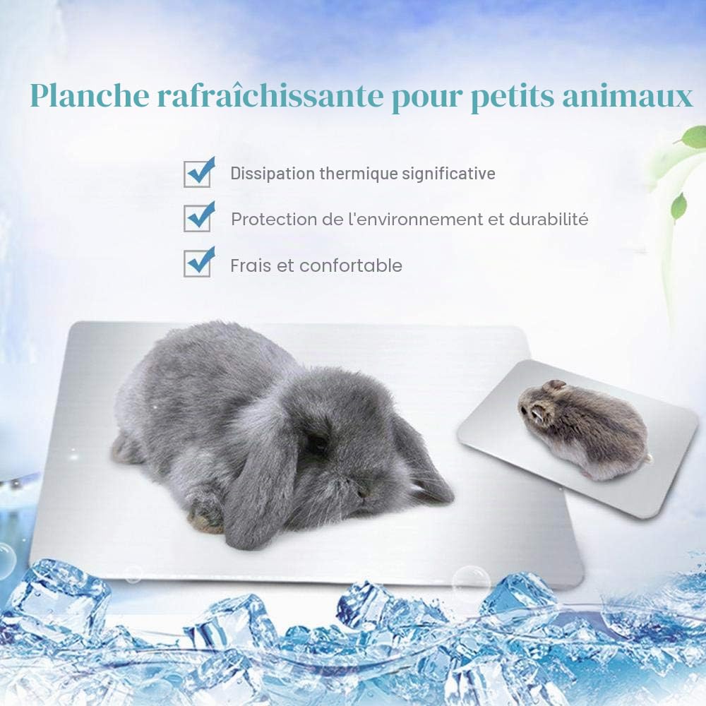 Tapis de Refroidissement pour Lapin, PeSandy Coussin de refroidissement pour Lapins, Cochon d'Inde, Chinchilla, Hamster et Autres Petits Animaux Restent au Rrais Cet Été - Assiette Cool Lapin(30x20cm)