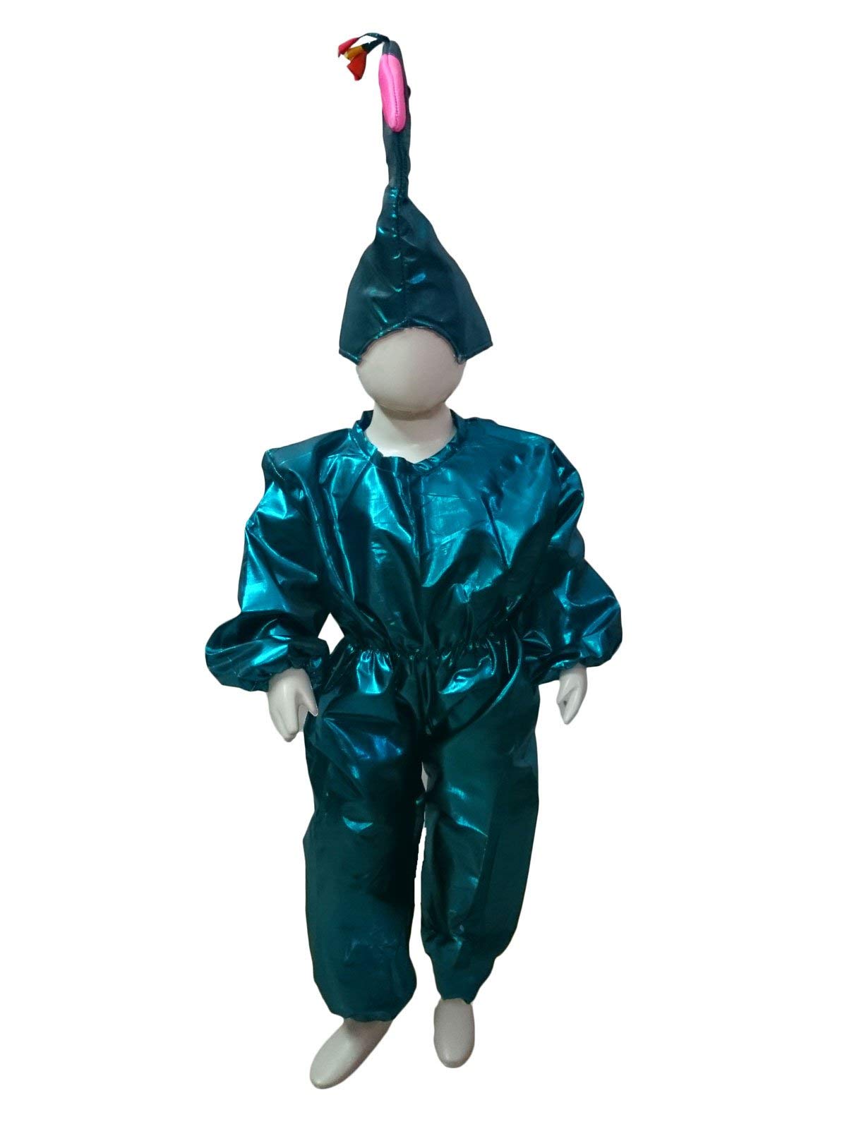 BookMyCostume Peacock Bird Kids Fancy Dress Costume 2-3 years (B08KT8VT8L) Amazon Price History, Amazon Price Tracker