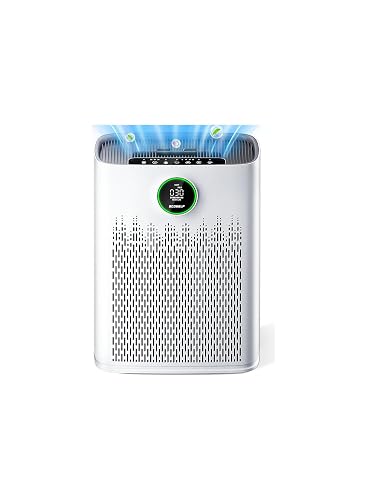 ECOSELF HAP603 Air Purifiers for Home Large Room 2400 Ft²