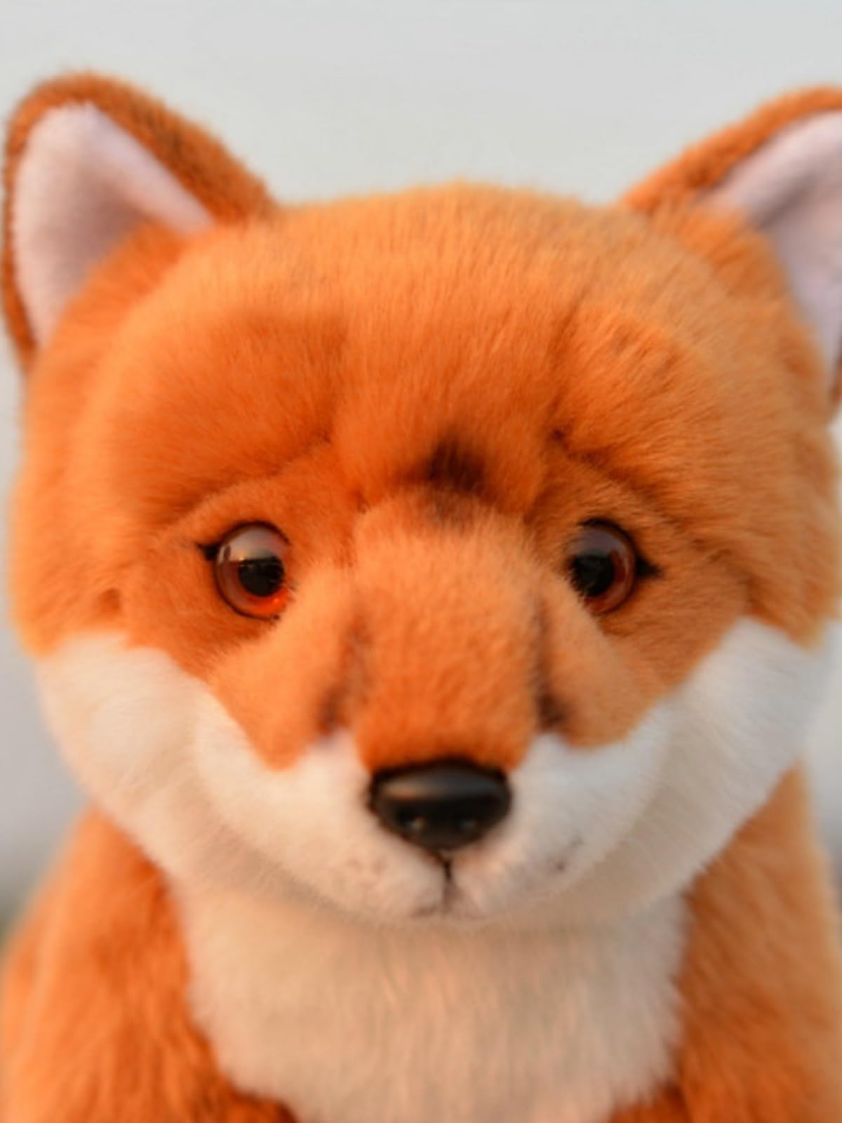 Peluche realistico di volpe