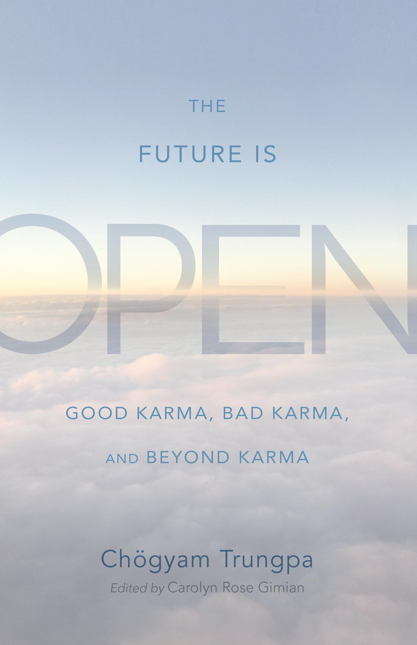 Amazon.com: The Future Is Open: Good Karma, Bad Karma, and Beyond
