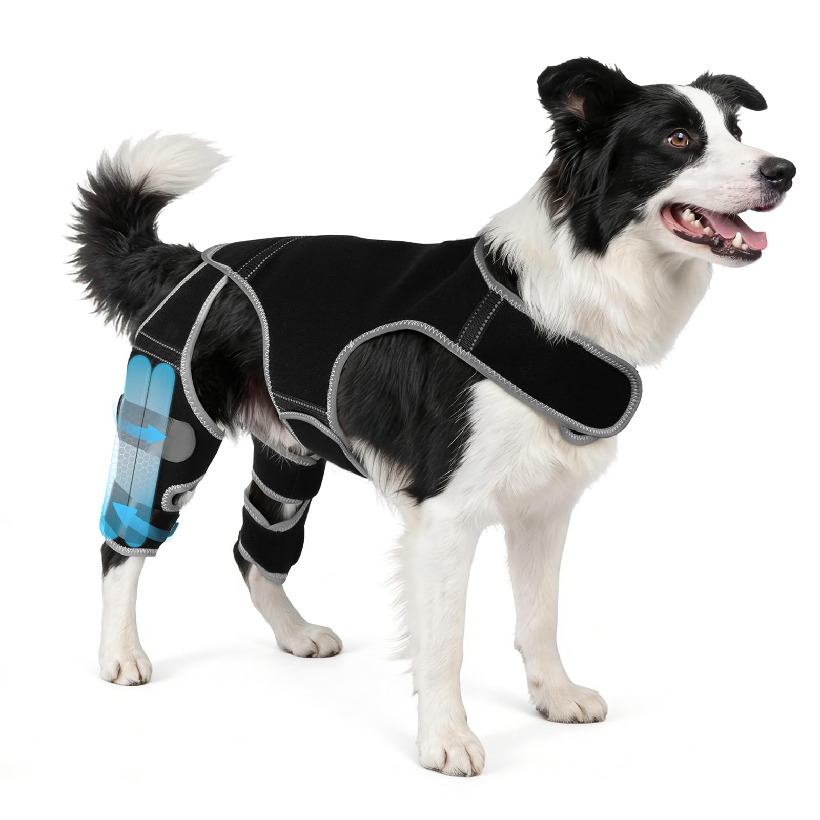Photo 1 of WZXOZYNG Dog Leg Braces for Torn ACL Hind Leg, Adjustable Dog Knee Brace with 4 Stabilizers, for Dogs with Torn ACL/CCL, Luxating Patella, Ligament Issues & Hip Dysplasia, Small to Large Dogs (XL)