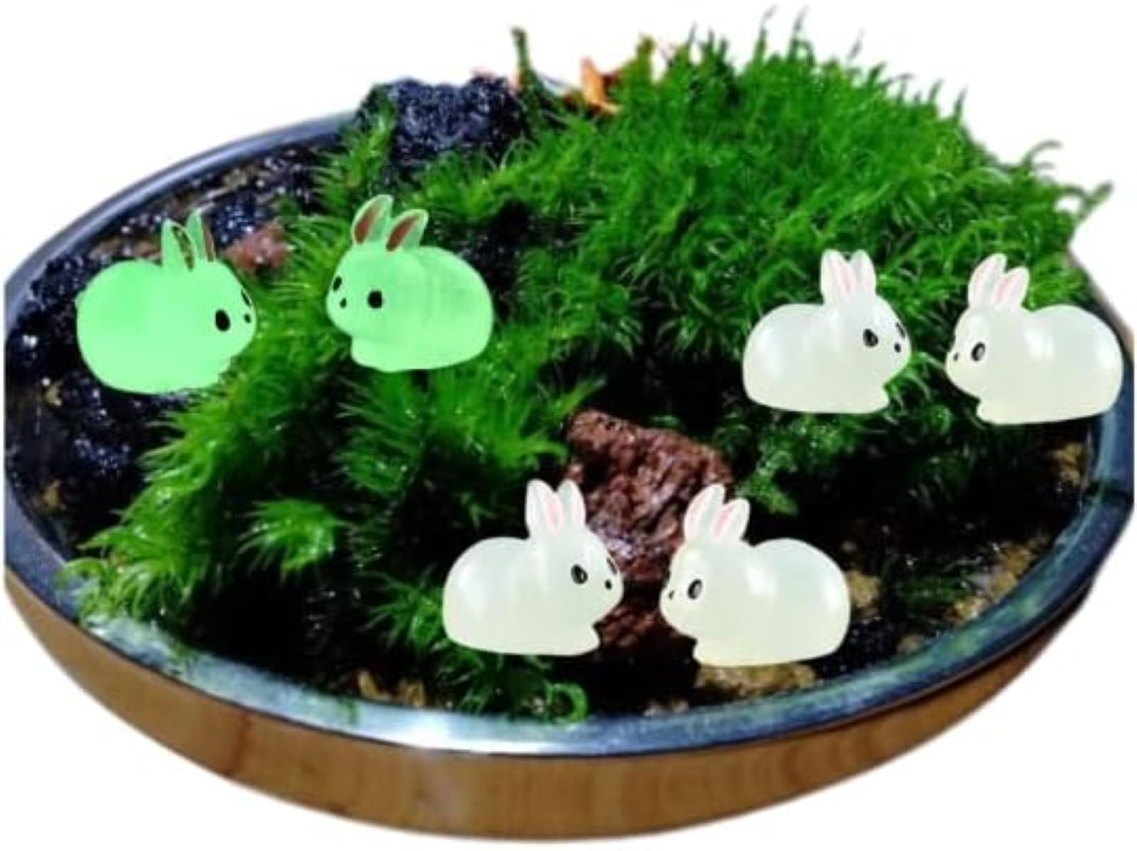 Amazon.co.jp: manatom 苔テラリウム フィギュア テラリウム