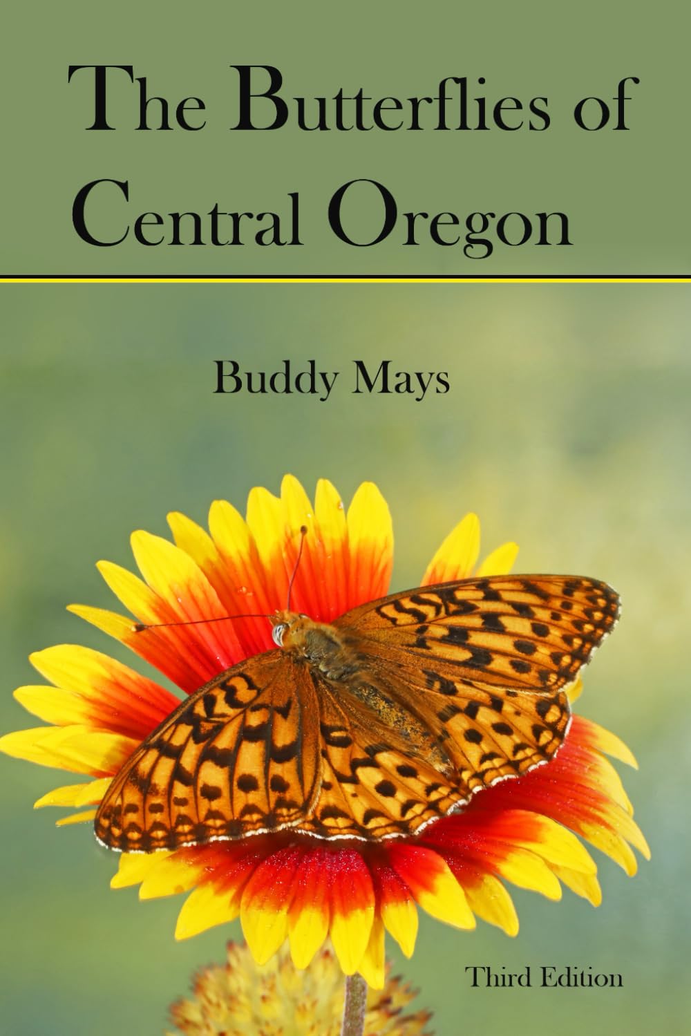The Butterflies Of Central Oregon