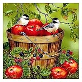 11CT estampillé pleine broderie oiseau pomme Animal point de croix ensemble cadeau de couture