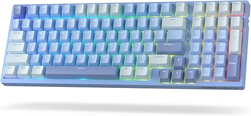 LTC Nimbleback NB981 - Teclado mecánico inalámbrico al 95%, 2.4GBTUSB-C con cable RGB 98 teclas, amortiguador de 3 capas, PCB de intercambio en