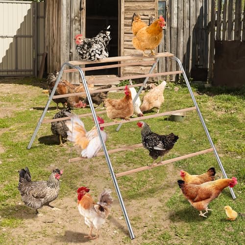 LitaiL barras de poleiro de frango para galinhas com balanços de frango, poleiro de madeira para gal