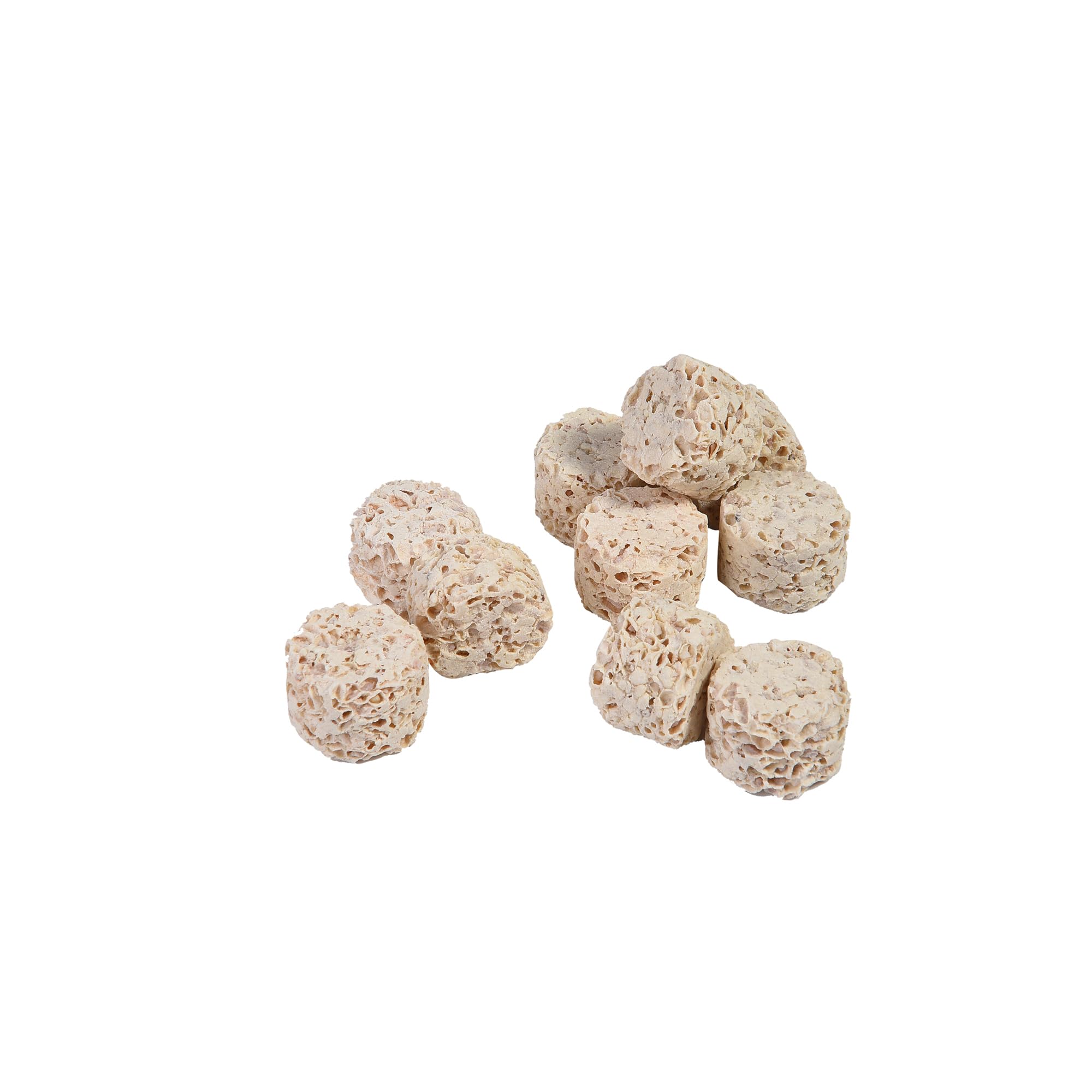 ALEGIAquarium Ceramic Filter Media, Biological Filter Media Blocks with Vast Surface Area for Fish Tank Sump, Canister Filter, Koi Ponds (1 L / 0.26 Gallon)