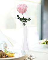 Vista 6 de Flores Rosadas para Entrega Prime, Rosas Rosadas Preservadas Regalos de Flores para Mujeres, Rosas Reales Regalos de Rosa Individual para Ella