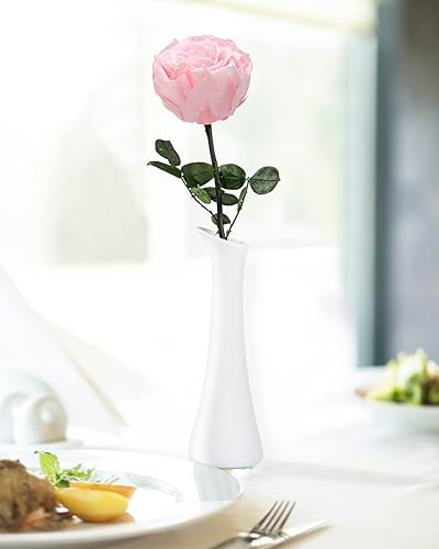 Miniatura 6 de Flores rosadas para entrega, rosas rosas rosas preservadas, regalos de flores para mujeres, rosas reales, regalos de rosas individuales para ella,