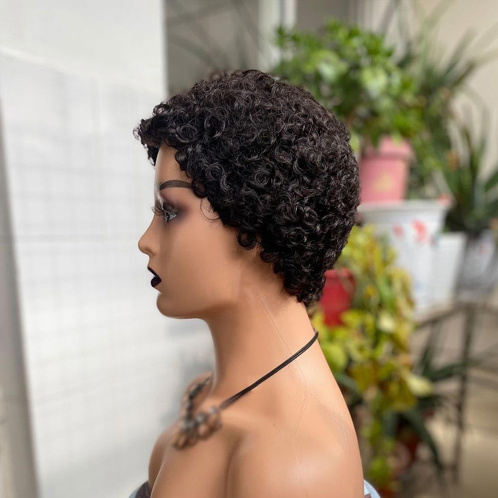 Damen Perücken Kurze Afro-Lockenperücken for schwarze Frauen, Echthaarperücke, 100% brasilianisches Echthaar