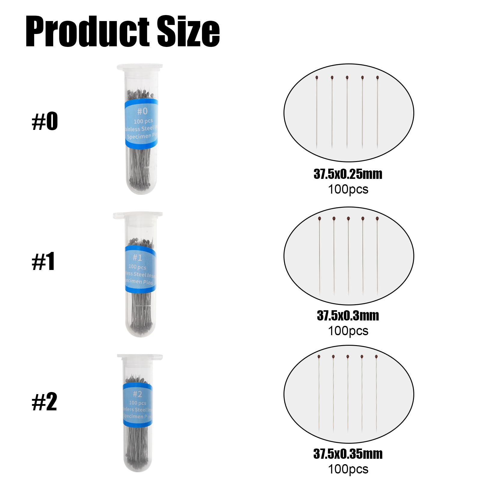 GLOBLELAND 300 pz Spille per Campioni di Insetti In 3 misure Spille per Insetti In Acciaio Inossidabile con Perni per Fiale di Conservazione Sicura In Plastica Dura Farfalle Coleotteri Aghi