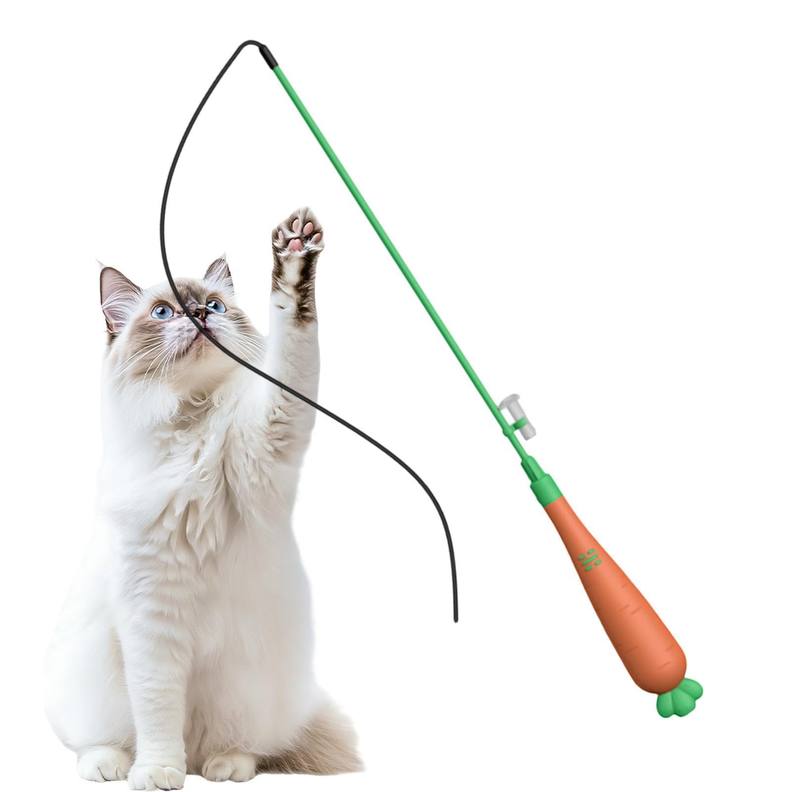 Canne à pêche pour chat ludique stimulation et ennui