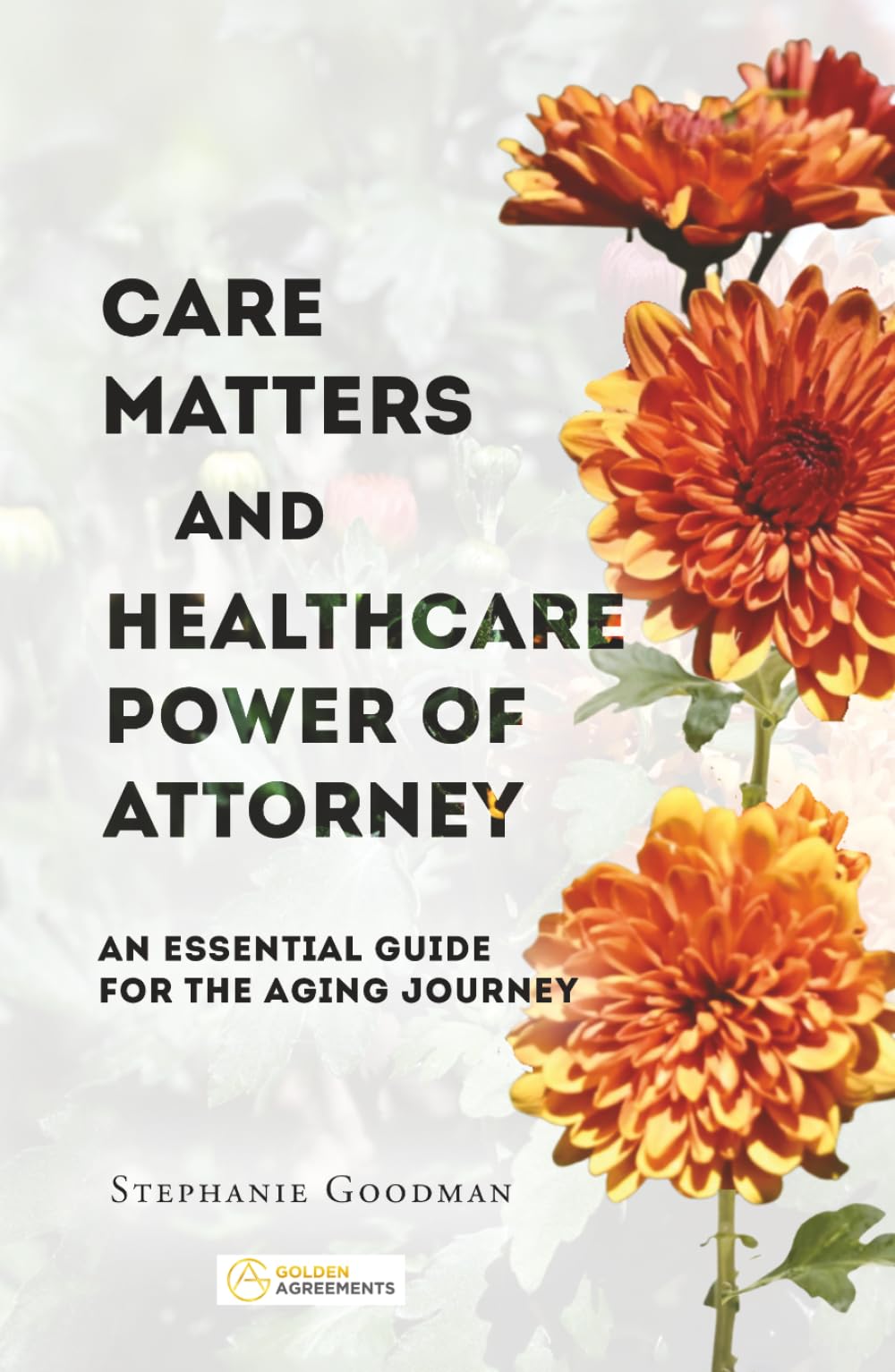 Care Matters and Healthcare Power of Attorney: An Essential Guide for the Aging Journey (Golden Agreements: Planning Together, Aging with Clarity and Peace of Mind)