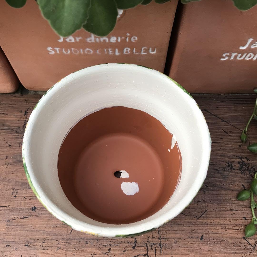 Amazon.co.jp: ご購入品 リメイク鉢 ぽってりタイプ いちご畑 : ホビー