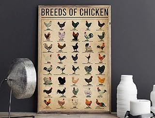 Eeypy Breeds Of Chicken Breeds Of Chickens Knowledge Gift For Farmer Farm Chicken Breeds Poster Metal Tin Signs Bedroom Bathroom Toilet Cat Animal Study Parlor Art Wall Decor Gift 8x12 Inch