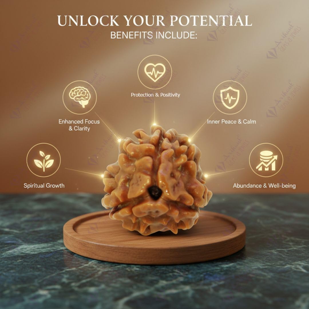 Arihant Gems & Jewels 3 Mukhi/Faced Nepali Rudraksha | Natural & Certified | Astrological Three Mukhi/Faced Rudraksha | Positive Effect | Unisex Both for Men & Women. 3