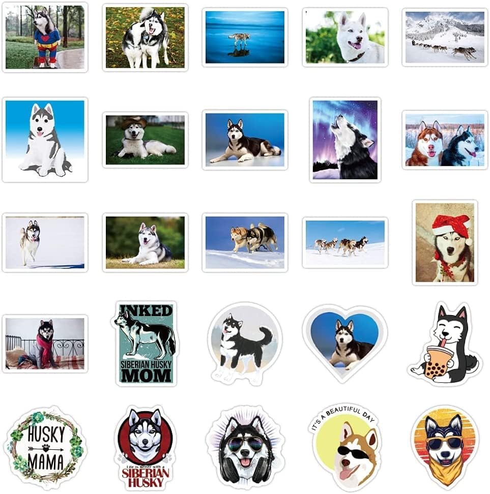 Miniatura 2 de 100 calcomanías de vinilo impermeables para adolescentes y adultos, para botellas de agua, monopatín, teléfono, 100 unidades