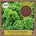 Produktbild BIO Asia Salat Samen Asia Pflücksalat Wasabino (Brassica rapa) Gemüsesamen ganzjährig & winterhart