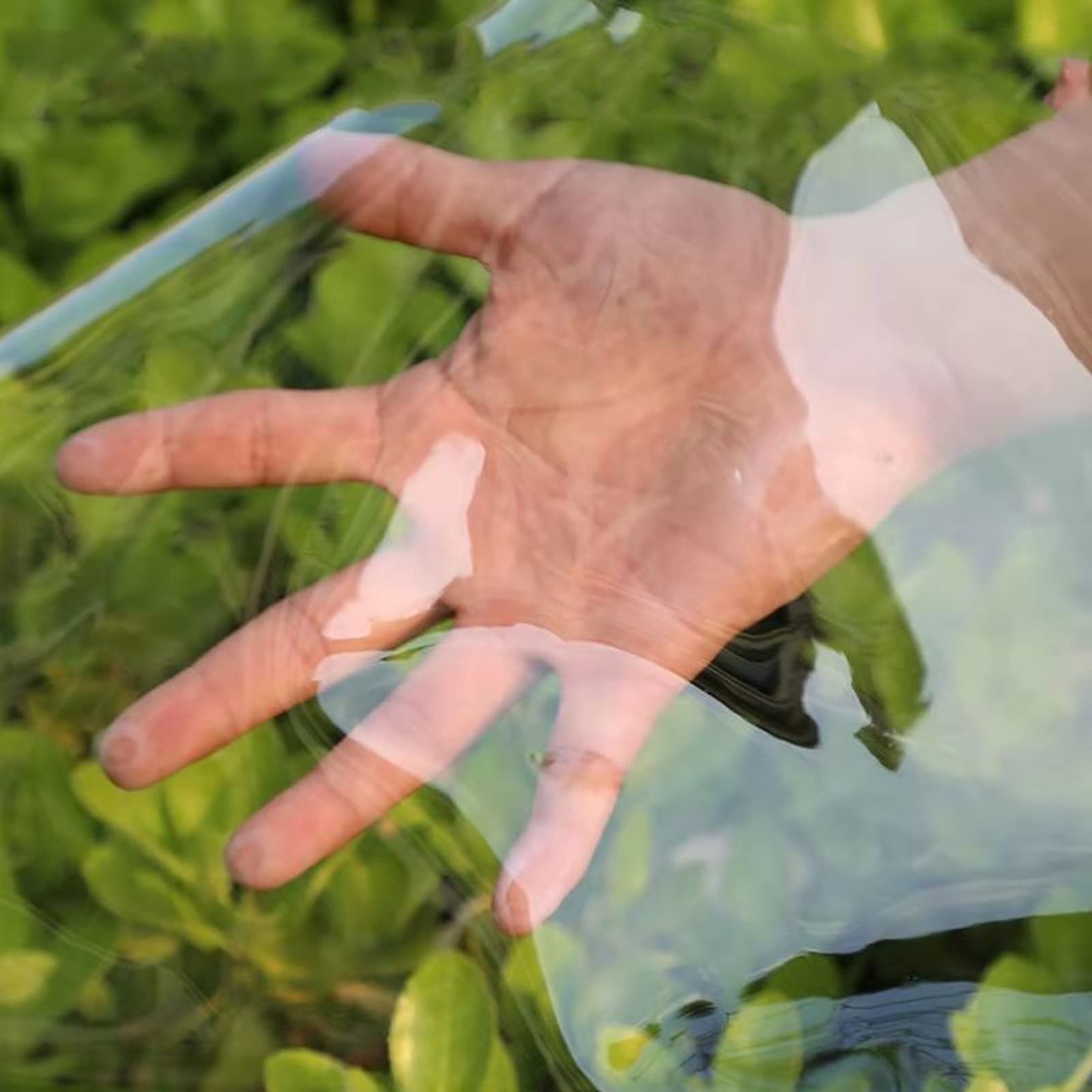 Schwere Beanspruchung Transparente Plane mit Ösen,Wetterfeste Plane Strapazierfähige Vordächer Faltbar,100% Wasserdicht,0,35 mm,für Balkon,AußEnbereich,Innenhof,Pflanzendecke (200x240cm)