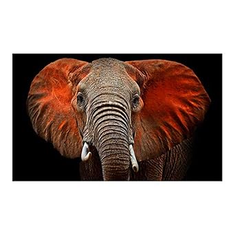 Yosemite Home Decor Loxodanta Wall Art - Thumbnail 2