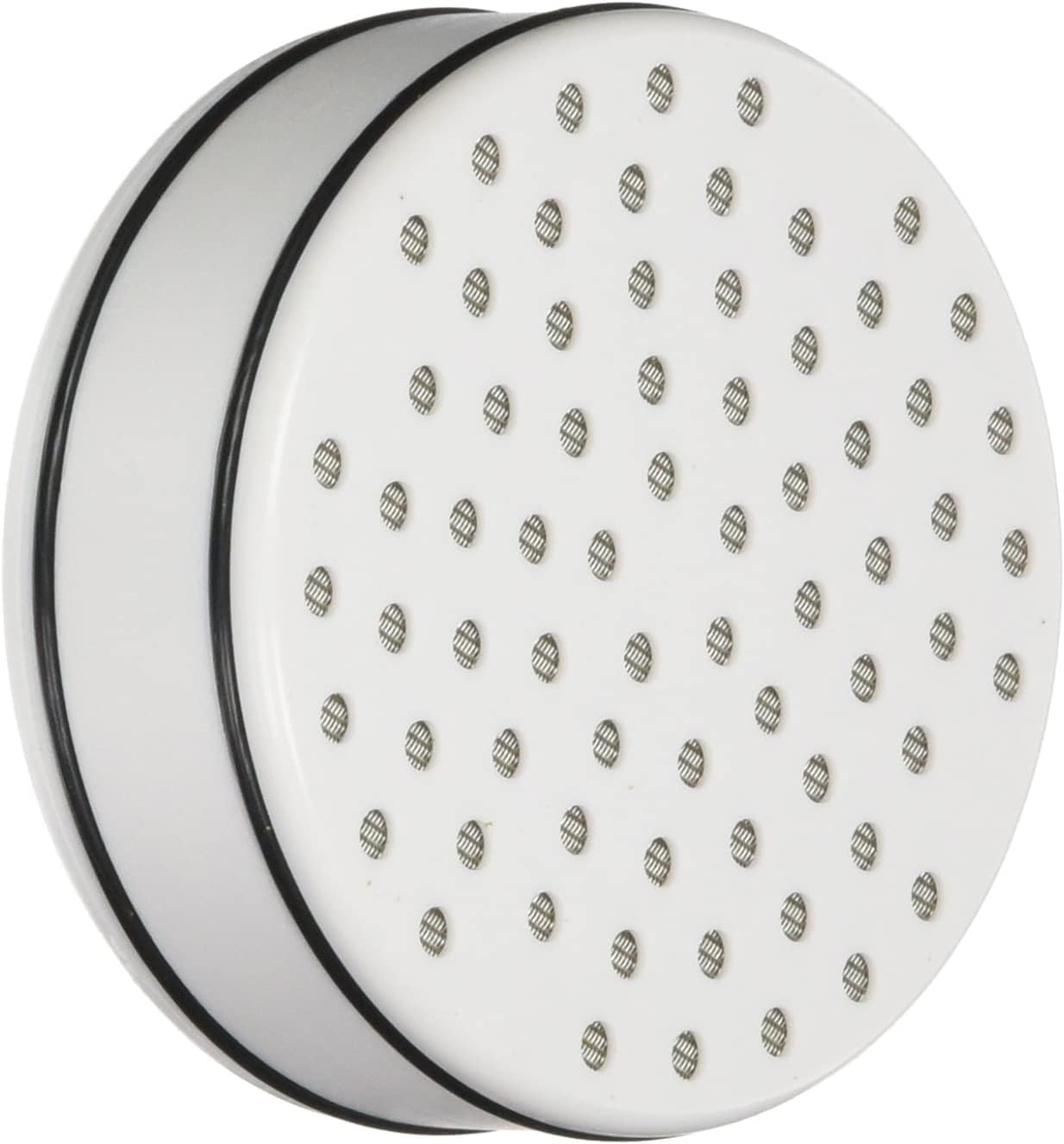 Brondell FF-15X2 Replacement Water Filter for VivaSpring Filtered Shower Head, Lasts 6 Months, 2-Pack
