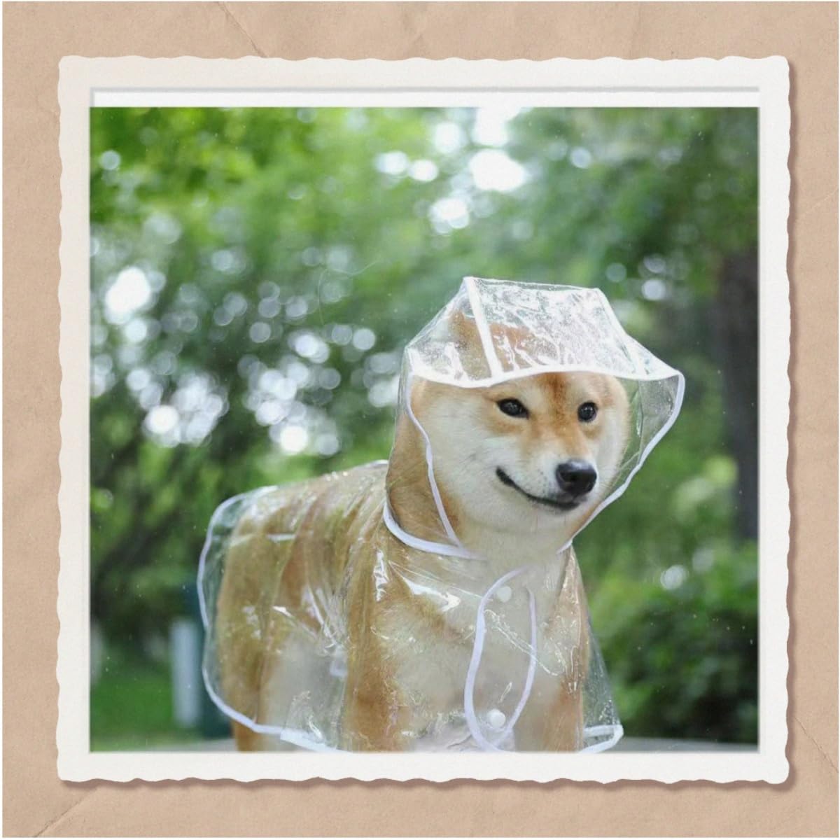 Imperméable pour Chien, Poncho de Pluie en PVC Transparent, Chien à Capuche, Vêtements de Pluie, Taille 52 cm