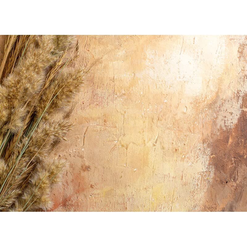 Fondos de fotografía de Retrato de Textura Vintage Accesorios de Estudio Tela de Fondo de Foto de Color sólido Degradado 9x6ft/2.7x1.8m