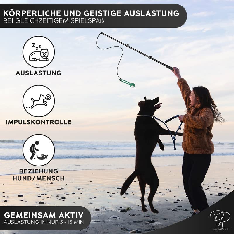 Paquet Canne à Pêche Stimulante Pour Chiens Avec Corde Supplémentaire - Extensible - Robuste - Barre Télescopique De Qualité Supérieure - Pour Petits Et Grands Chiens Comme Les Chats, Les Chiens