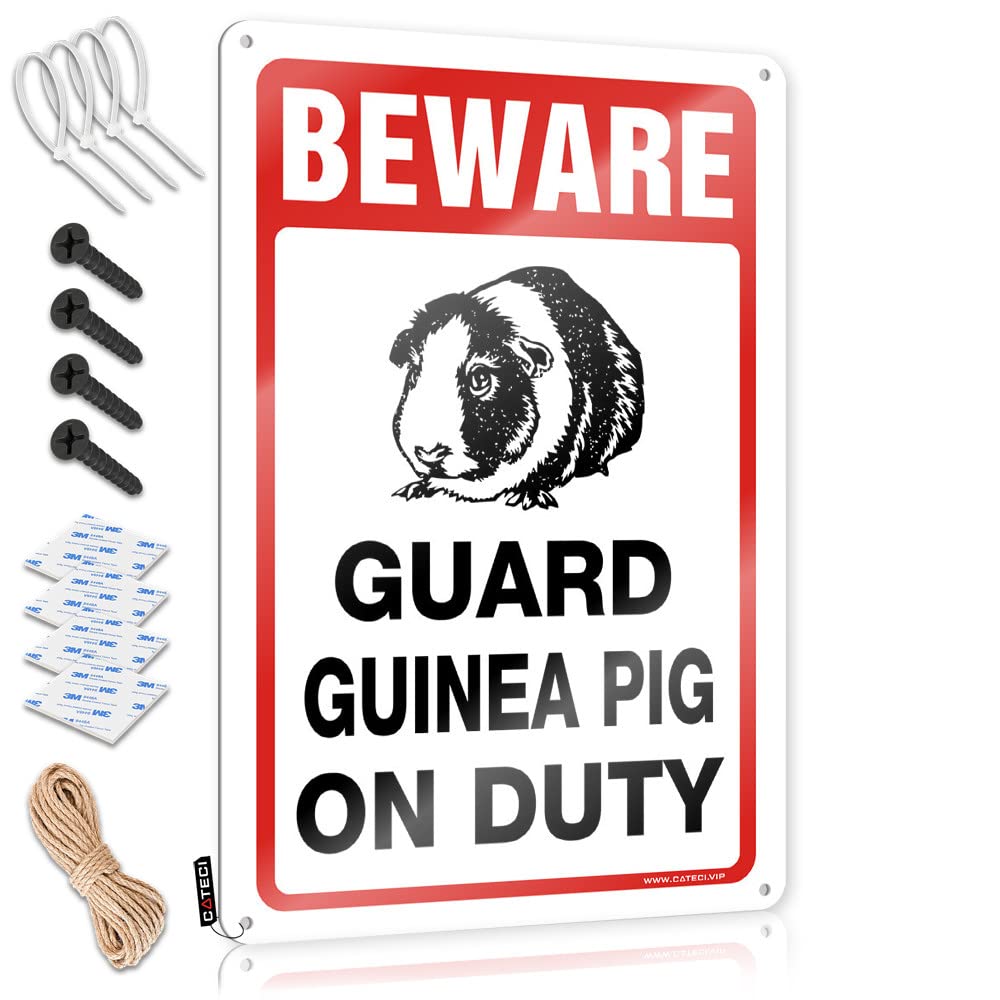 Fun Stuff Accessories Poster | Beware! Guard Guinea Pig On Duty Classy Decorative Wall Art Ready To Hang For Kitchen(30X40CM)