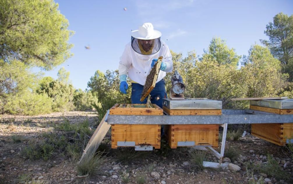 Polen de Abeja natural. Polen Las Obreras 450 grs. Origen España 100%. Pequeño tesoro alimenticio que las abejas extraen de diversas flores. Origen, Cuenca.