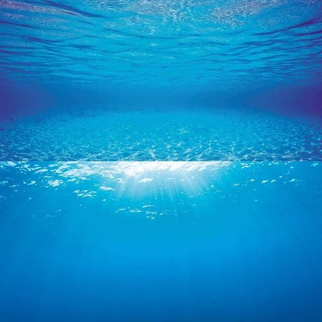 Juwel. Fondo de acuario, 150 x 60 cm